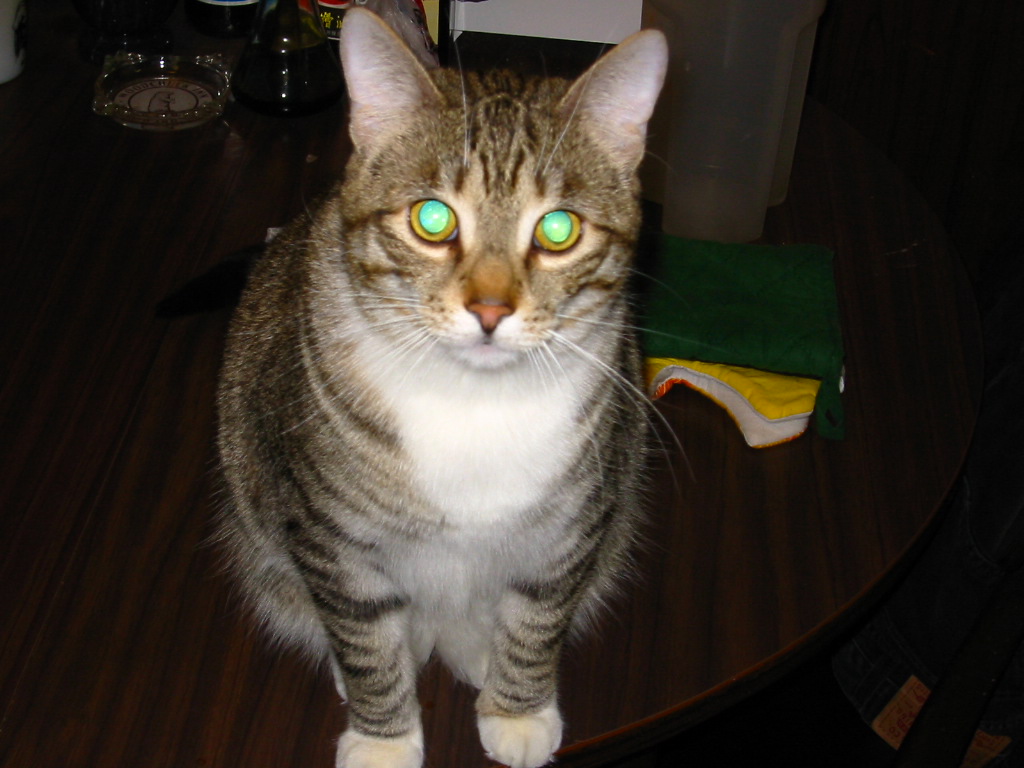 kitweb.jpg
